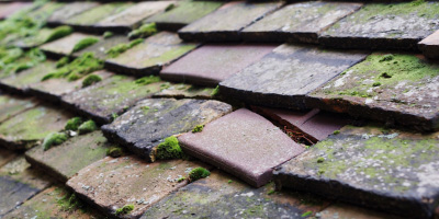 Ravenstone roof repair costs